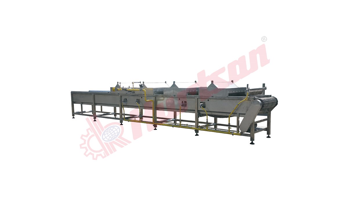 Conveyor Belt Pepper Roaster