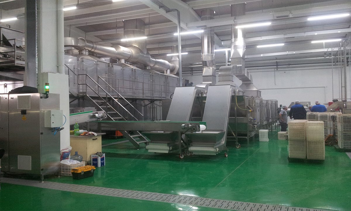 Olive Drying Oven